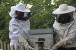 Transport de la ruche de Bois-Petit