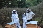 2 essaims installés dans le rucher : Tout le monde pose !